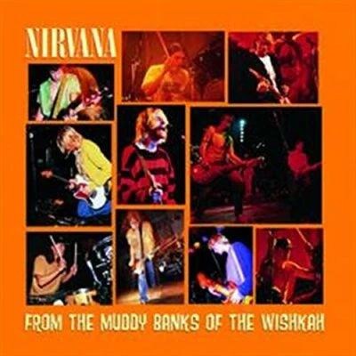 From The Muddy Banks Of The Wishkah by Nirvana (180g Vinyl 2LP), Geffen  - Image 1 of 3