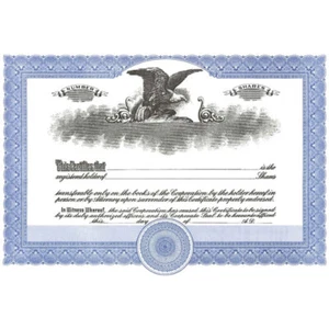 NEW Short Form Blue Stock Certificate Size 8-1/2" Tall x 11" Wide - Picture 1 of 2