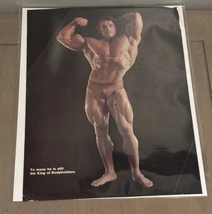Arnold Schwarzenegger Iconic MASSIVE ARMS Bodybuilding Muscle Photo - Bild 1 von 1