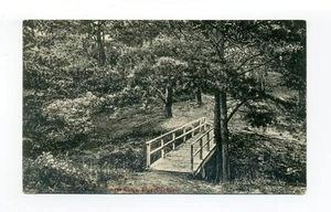 Craigville, postal de Barnstable MA, puente de madera en bosque de pinos - Imagen 1 de 2