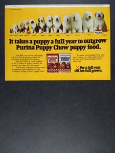 Fotos antiguas de perro pastor inglés 1978 Purina Puppy Chow comida para perro anuncio impreso vintage - Imagen 1 de 1