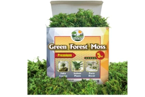 Artificial Moss Potted Plants Decorative Crafts Green Table Piece Wedding Party - Picture 1 of 8