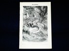 RIESENSCHLANGE Anaconda - Lithographie von 1896 – 125 Jahre ORIGINAL