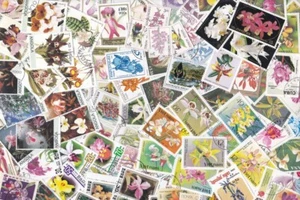Y1042 - Collection 100 diff. stamps - Orchideeën / Orchidaceae / Orchideen - Imagen 1 de 1