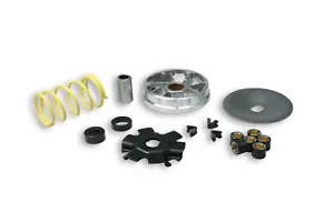 KIT VARIATORE MULTIVAR MALOSSI COD. 513863 PER PIAGGIO SI CIAO BRAVO BOSS GRILLO - Imagen 1 de 1