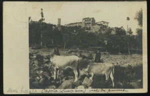 cartolina CASOLA LUNIGIANA vista da ponente FOTOGRAFICA - Foto 1 di 1