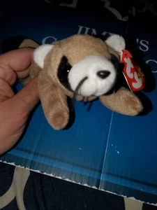 🦝Ty Beanie Baby Ringo Raccoon 🦝Mint w/tags Retired DOB 7/14/1995🦝 - Picture 1 of 7