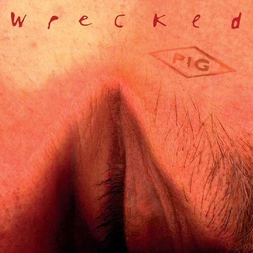 The Pig - Wrecked [Used Very Good CD] Rmst, Reissue Foto 1 de 1