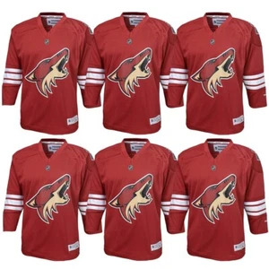 Arizona Coyotes NHL Reebok Infant(18M) Red Official Replica Home Jersey Bulk Lot - Picture 1 of 6