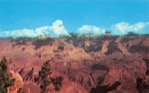Near Yavapai Point, Grand Canyon, Arizona Vintage PC - Picture 1 of 2