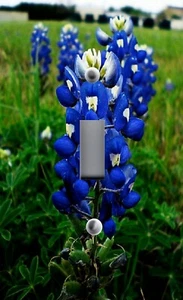 Light Switch Plate Cover HOME DECOR ~ TEXAS BLUEBONNET FLOWERS 1 - Picture 1 of 26