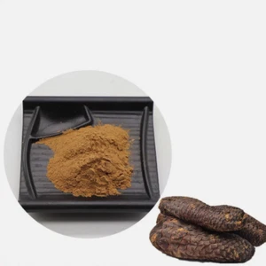 CISTANCHE TUBULOSA 30:1 EXTRACTO EN POLVO 100g~500g - COSECHA SILVESTRE - Imagen 1 de 4