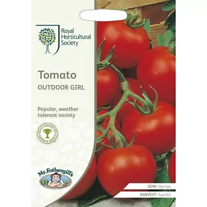 RHS Mr Fothergill's Tomato seeds outdoor girl weather tolerate variety - Picture 1 of 1