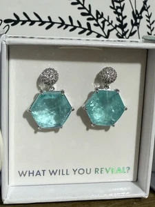 Bombe Party Ohrringe Mental Health Awareness 2025 ER75864 Kraft finden - Bild 1 von 4