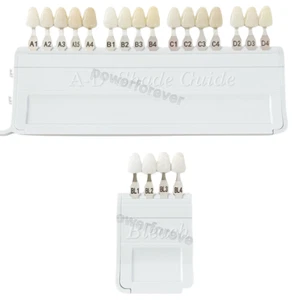 Teeth Shade Guide Dental Blease A-D 20Color Porcelain Teeth Whitening Based VIT - Picture 1 of 8