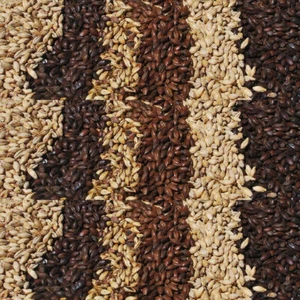 Joe White Barley Wheat Malt 1kg Base Crystal Roasted Pilsner Premium Brewer Beer - Bild 1 von 29