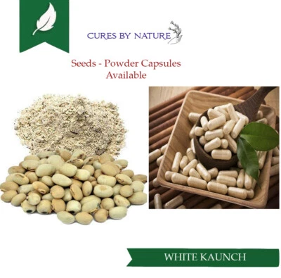 CURESBYNATURE Kaunch Beej White Kaunch -Mucuna Pruriens INDIAN VELVET BEANS Safed Konch Beej