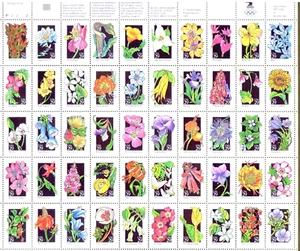 Sheet of 50 Wildflowers of America 1992 US Stamps 29 Cent MNH - Scott 2647-96 - Picture 1 of 7