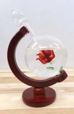 Botella globo pronóstico del tiempo Storm Glass con rosa roja sobre soporte de madera Foto 1 de 4