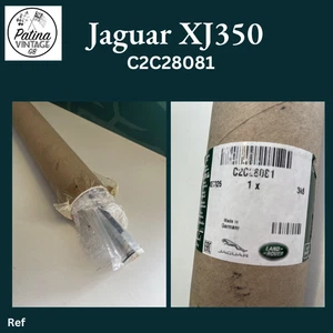 Nuevo stock antiguo Jaguar X350 puerta sello cintura 2003-2009 C2C28081 mano izquierda trasera - Imagen 1 de 1