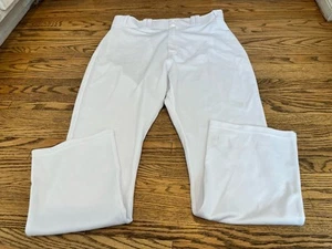 Anthony Rizzo Game Used /issued Chicago Cubs Players Weekend Majestic Pants Sz38 - Picture 1 of 6