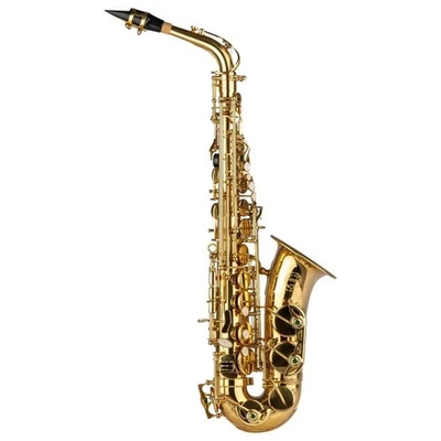 GRASSI GR SAL700 Sassofono Contralto SAX ALTO SAL 700 con astuccio + accessori - Immagine 1 di 4