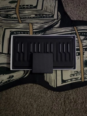 Caballete ROLI Seaboard con almohadilla de luz (usado para poco) Foto 1 de 2