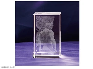 Yakuza Kiwami 2 DX Pack + Ryuji Goda 3D Crystal (Nintendo Switch 2) [Presale] - Picture 1 of 5