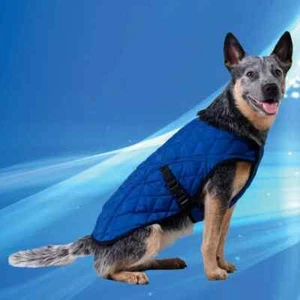 Small Aqua CoolKeeper Dogs Cooling Jacket Blue Use in 30 Seconds Pets Health - Picture 1 of 1