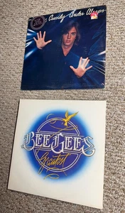 RARE LOT VINYL ALBUMS POP ROCK 12" LP'S including BEE GEES and SEALED - Picture 1 of 5
