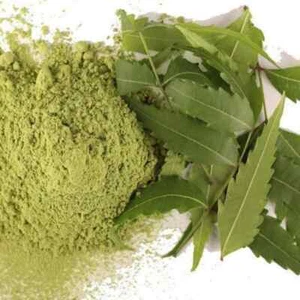 Neem Leaf | Leaves Powder | Limda Powder Premium Quality Free UK P&P 50g-1.9kg - Picture 1 of 1