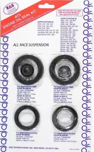 Polaris Sportsman Trail Blazer Xplorer Xpress Engine Oil Seal Kit K&S 50-5001 - Picture 1 of 1
