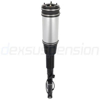 Fits Mercedes-Benz S430 4.3L S320 S420 S500 Air Suspension Spring Strut Rear R/L Foto 1 de 4