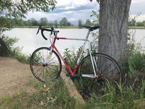 Serotta CSi Custom 59cm, fresh frame off tune-up and updated group - Picture 1 of 19