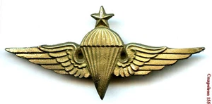 PARACHUTISTE Brevet para a identifier - Imagen 1 de 2