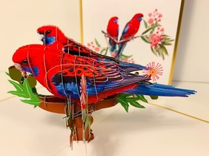 Origami Pop Cards LUXURY Australian Crimson Rosella Pop Greeting Card Christmas