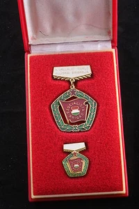 Hungary Hungarian Medal Socialist Excellent Youth Brigade Box Mini Soviet Labor - Picture 1 of 5
