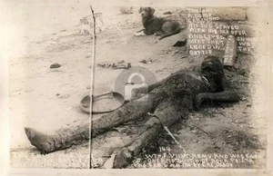 Mexico Border War Dog With His Dead Master Cal RPPC Photo Postcard COPY - Picture 1 of 2