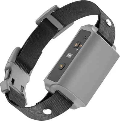 Dispositivo COLLAR Automático Antiladridos Control Choque Perro Pequeño Mediano Grande Foto 1 de 4