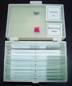 10 Prepared Microscope Slides from Animals, New, Cased - Foto 1 di 1