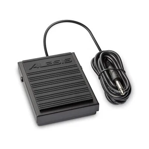 ASP-1 MKII Universal Sustain Pedal and Momentary Footswitch with 5ft Cable an... - Imagen 1 de 7