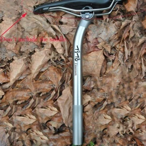 Titanium Alloy Seatpost 27.2 31.6 Bicycle Bike Setback Seat post *350/400mm - Picture 1 of 10