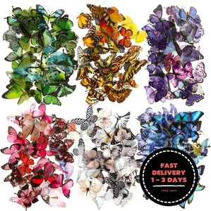 240 pegatinas de mariposa, de resina transparente, impermeables y coloridas - Imagen 1 de 7