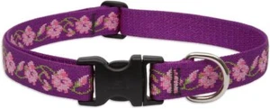 Lupine Originals "Rose Garden" Dog Collars & Matching Leashes - Picture 1 of 17