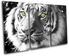 Tiger Wild Animals TREBLE TOILE murale ART Photo Print