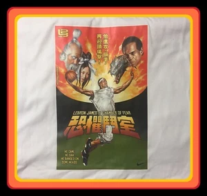 Vintage LeBron James 2004 Nike Chamber of Fear Kung-Fu T Shirt XXL New Rare BNWT - Imagen 1 de 24