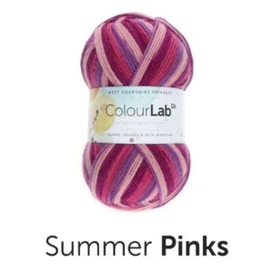 Hilo De Lana Colourlab DK De West Yorkshire Spinners - 893 ROSADOS DEL VERANO - Imagen 1 de 1