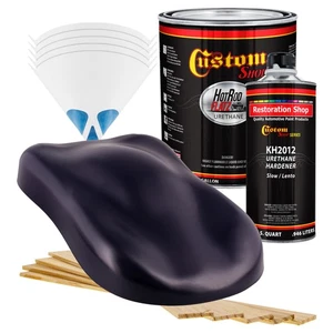 HOT ROD FLATZ Deep Purple Gallon Kit URETHANE Flat Auto Car Paint Kit - Picture 1 of 5