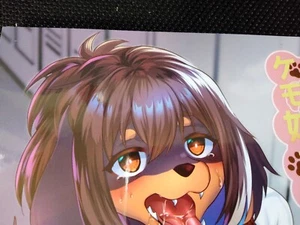 Doujinshi Kemo neesan vol.8 (A5 168pages) kimuchi tei kemono - Picture 1 of 7