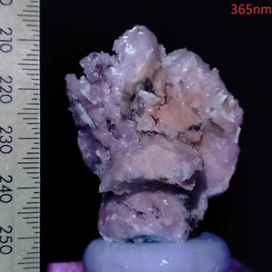 Fluorescent Apatite druzy crystals w/ Tourmaline and Mica on Albite matrix 179ct - Picture 1 of 8